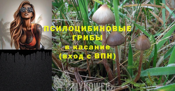 кокс Нягань