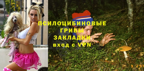 ALPHA-PVP Остров